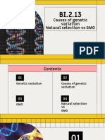 Causes of Genetic Variation