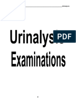 Urinalysis_Examination