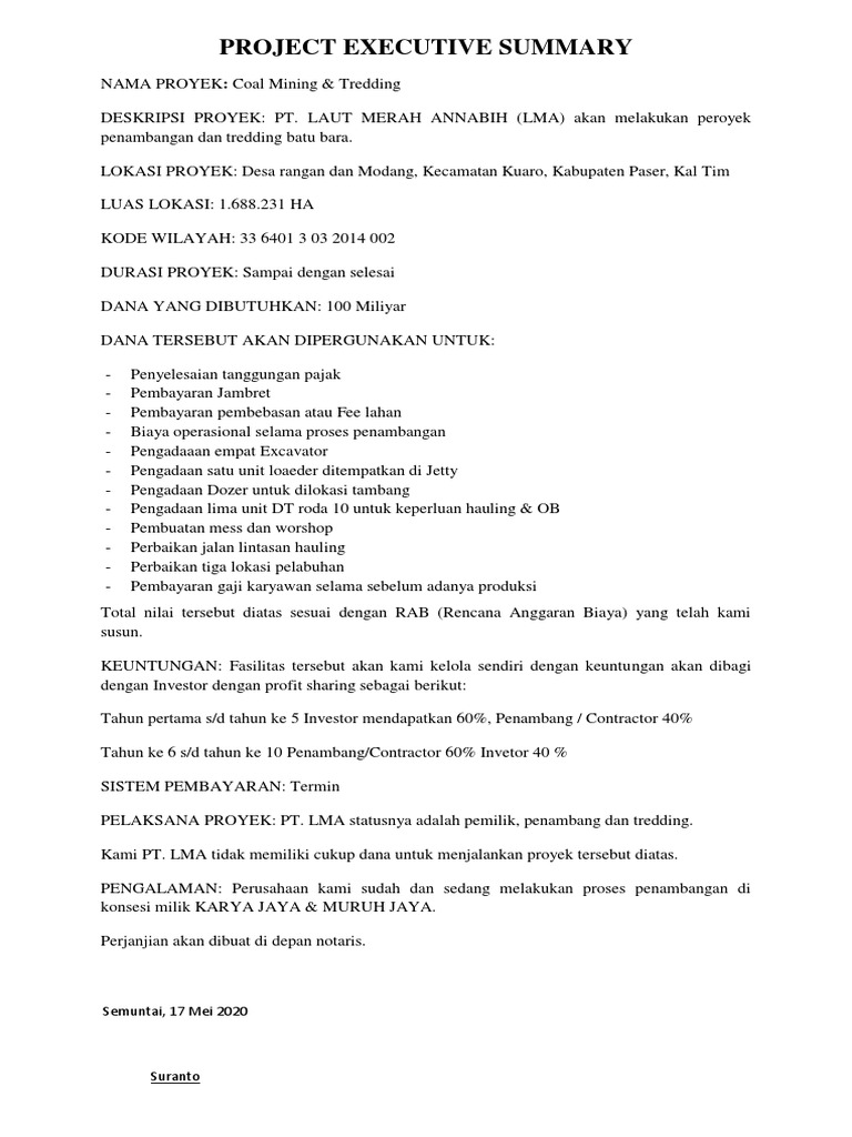 Project Executive Summary | PDF | Teknologi & Rekayasa