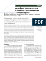 Revisão Da Anatomia Do Sistema Nervoso Central de Apis Mellifera: Uma Base Teórica para Estudos Ecotoxicológicos