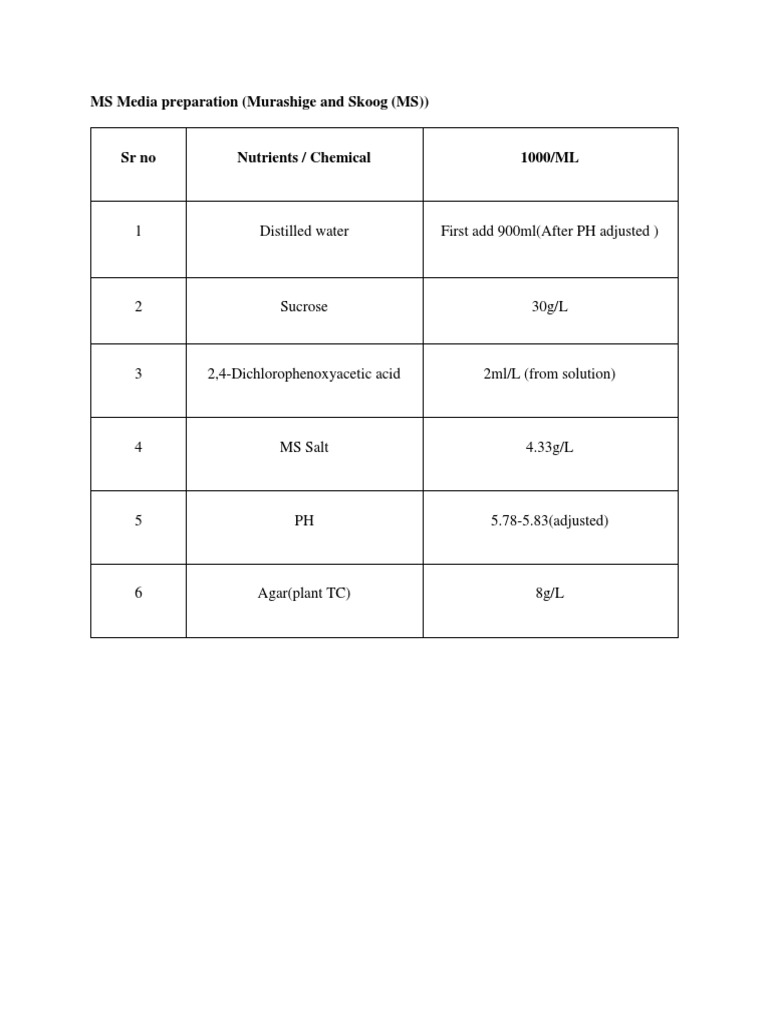 ms-media-preparation-pdf