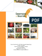 Curriculum Conservacion y Desarrollo 2011
