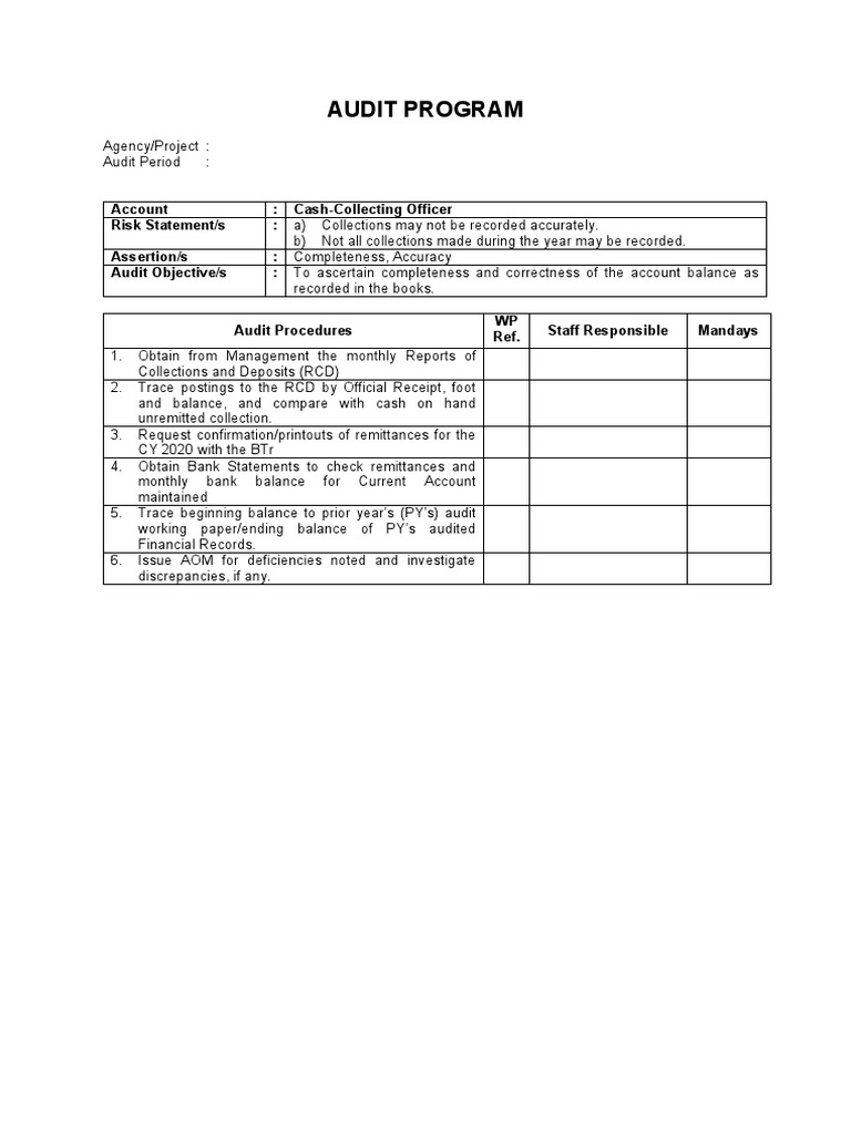 Cash Audit Program Overview | PDF