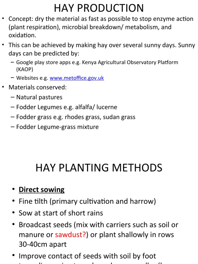 Hay Production Techniques and Standards | PDF | Hay | Plants