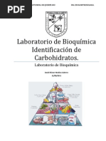 Download Pract Identificacin de Carbohidratos by Dave Dance SN65839199 doc pdf