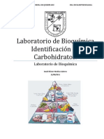 Pract. Identificación de Carbohidratos