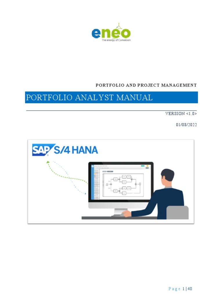 1.portfolio Analyst Eng PDF Enterprise Resource Planning