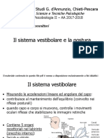 sistema_vestibolare_e_postura_2018