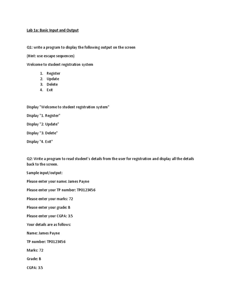 Python Basic Input