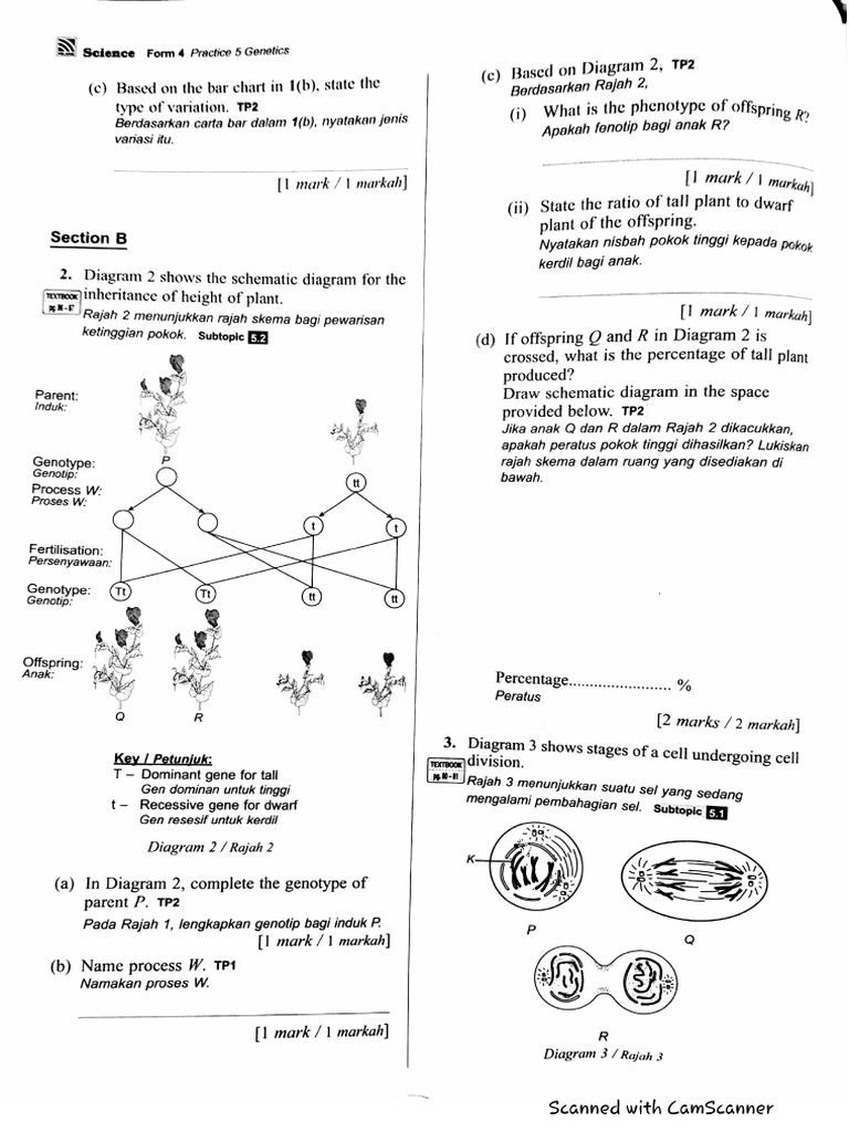 Bab 5 Exercise | PDF
