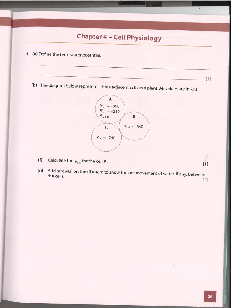 Ch4 Cell Physiology (Transport Across Membranes) | PDF