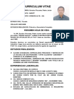CV Pedro Javier 1