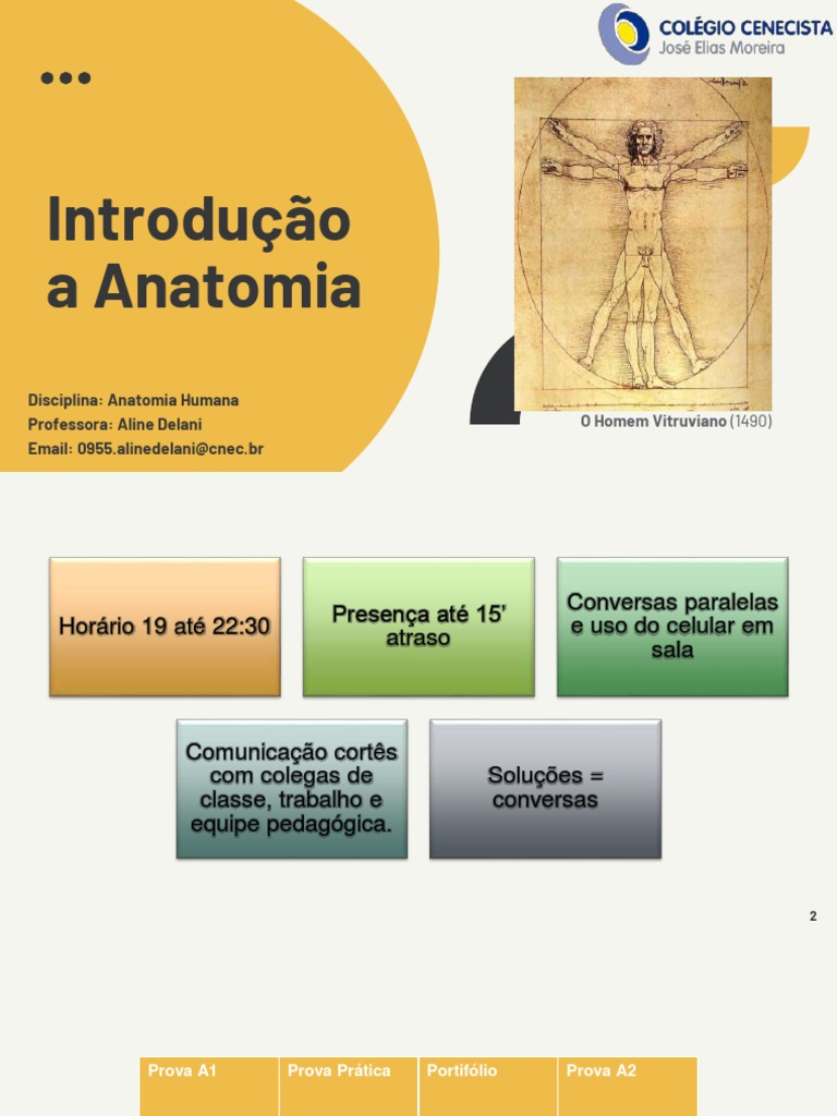 Introdução A Anatomia Pdf Corpo Humano Anatomia