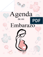 Agenda Embarazo
