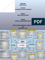 Mapa Mental de La Piel y Sus Anexos