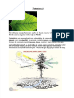 PDF 175 Biologie Fotosinteza Compress