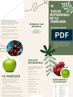 Triptico Valor Nutricional de La Manzana