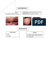 Mucosa