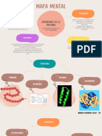 Mapa Mental Propiedades de Las Proteínas