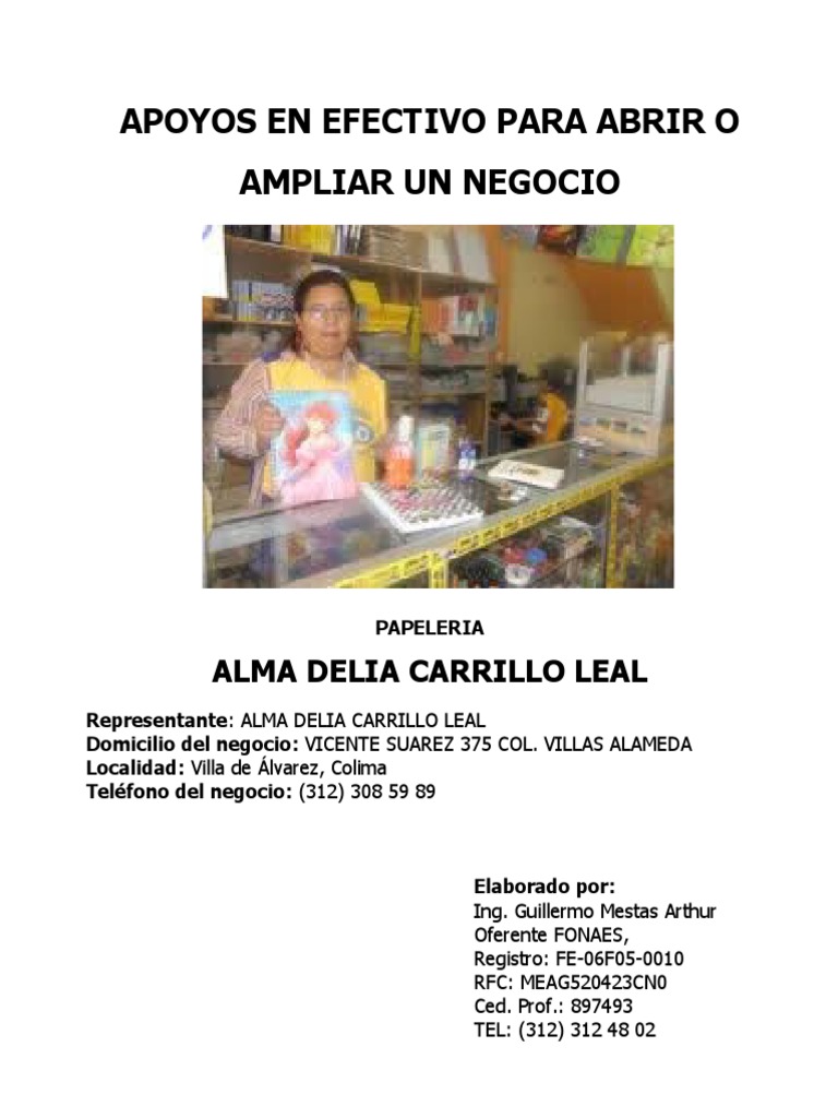 Proyecto Papeleria Alma Leal PDF Depreciación Economía Financiera