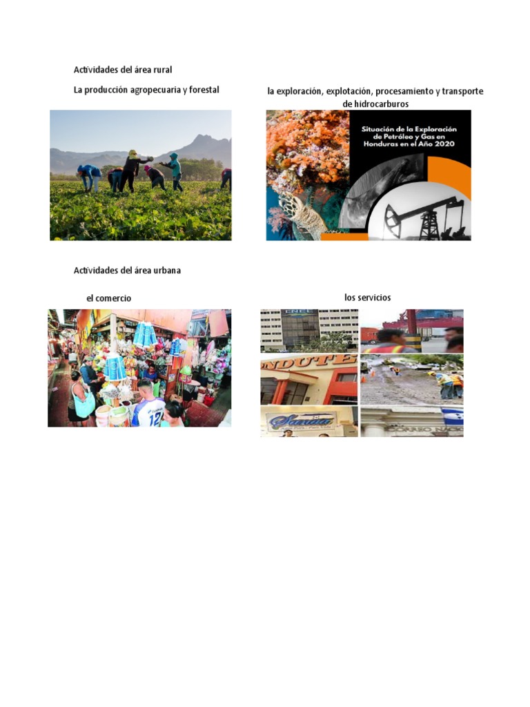 Actividades Rurales y Urbanas | PDF