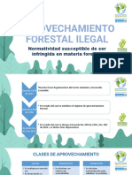 Aprovechamiento Forestal