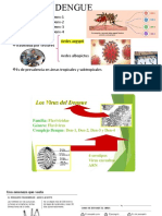 DENGUE Cuadro Clinico y Tratamiento