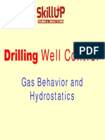 Gas Behavior 1663960165