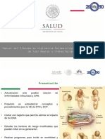 Manual Del Sistema de Vigilancia Epidemiológica de Los Defectos de Tubo Neural y Craneofaciales