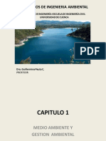 Capã - Tulo 1. Medio Ambiente y Gestion Ambiental