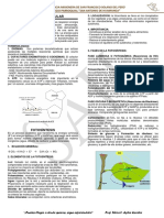 Metabolismo Celular (II Bim)