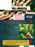 Cultura Ambiental