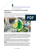 AGUACATE El Oro Verde de La Economía Colombiana