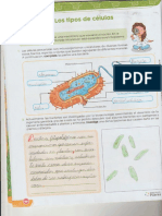 Ciencia Pag 10,11 y 12