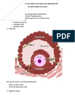 Sản xuất hormone nữ - Phóng noãn (r)