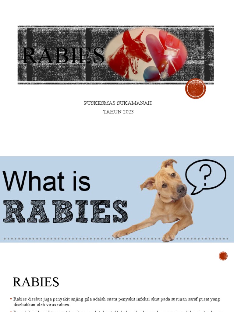 Pencegahan dan Penanganan Rabies 2023 | PDF | Pengembangan Diri ...