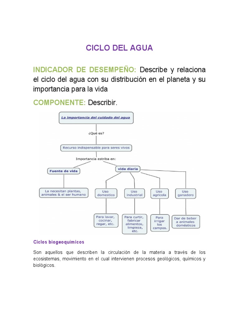 Ciclo del Agua y su Importancia | PDF | Agua | El ciclo del agua