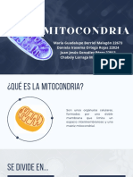 Funciones de La Mitocondria