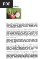 Download Khasiat Buah Naga by Curahan Hati Rakyat Kecil SN65853339 doc pdf