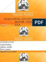 Duelo en El Adulto Mayor y Codigo Lila