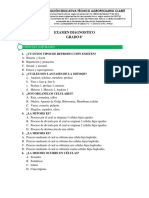 Examen Diagnostico Grado 8