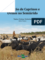 Producao de Caprinos e Ovinos No Semiarido 2011 (2)