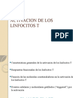 9 Activacion de Los Linfocitos T Actual