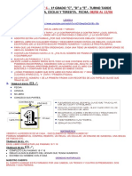 1° C D e Actividades Segunda Semana de Junio