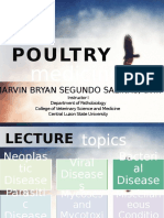 6 Poultry Medicine