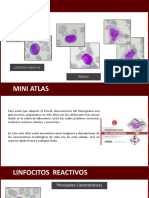 Mini Atlas de Hematologia