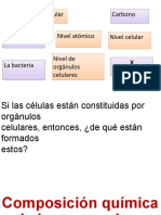 Composición Química de Los Seres Vivos