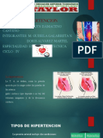 (E. Cardiovasculares) Hipertensión - Gisela Galarreta, Doris Alvarez