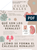 (E. Del Aparato Urinario) Calculos Renales - Anahí S. & Rosa A.