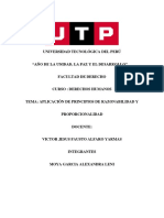 Semana 13 Tema 1 Tarea Aplicación de Principios de Razonabilidad y Proporcionalidad